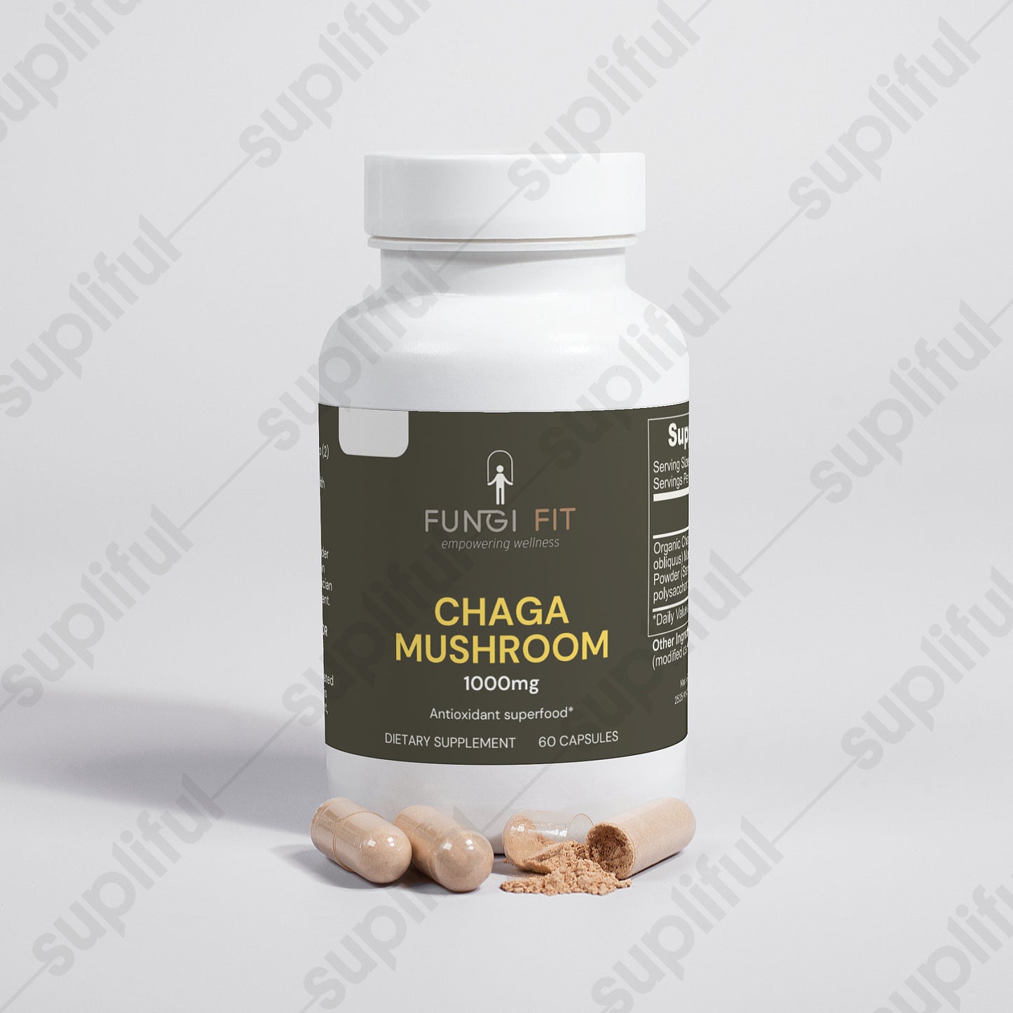 Chaga Mushroom